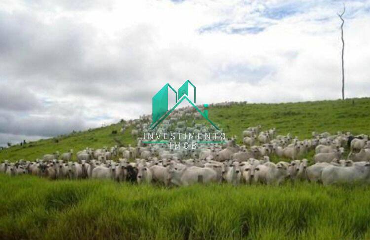 Terreno à venda, 100000m² - Foto 30
