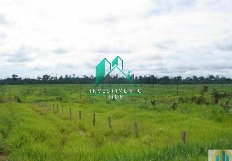 Terreno à venda, 100000m² - Foto 29