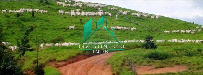 Terreno à venda, 100000m² - Foto 22