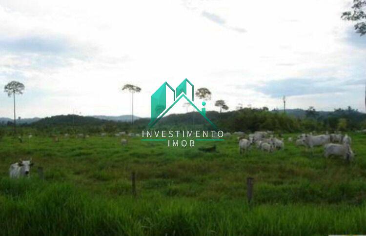 Terreno à venda, 100000m² - Foto 28