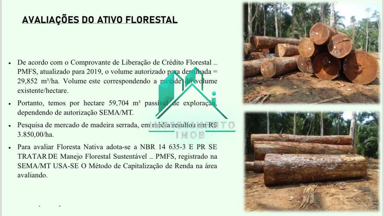 Terreno à venda, 100000m² - Foto 11