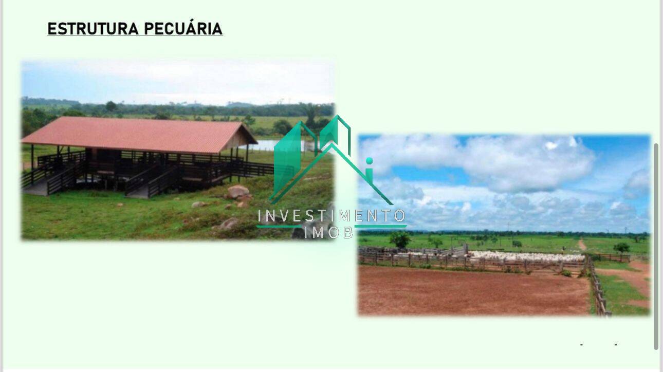 Terreno à venda, 100000m² - Foto 9
