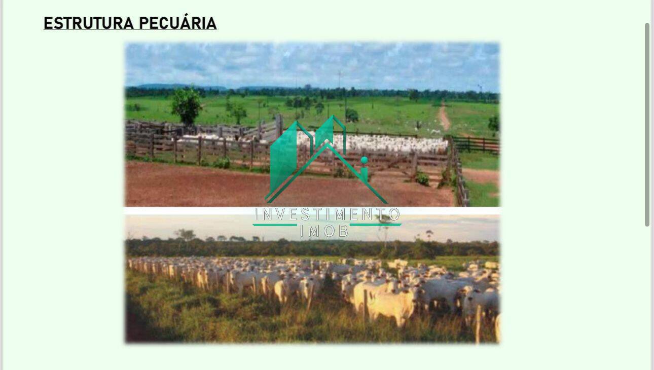 Terreno à venda, 100000m² - Foto 8