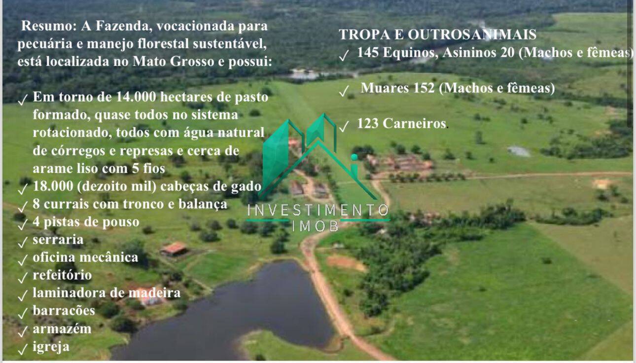 Terreno à venda, 100000m² - Foto 1